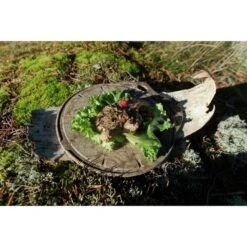 Kupilka Kaarna M - Planche à Découper-Original (Marron) -Quechua Camp Promos Magasin kupilka kaarna m planche a decouper original marron 2